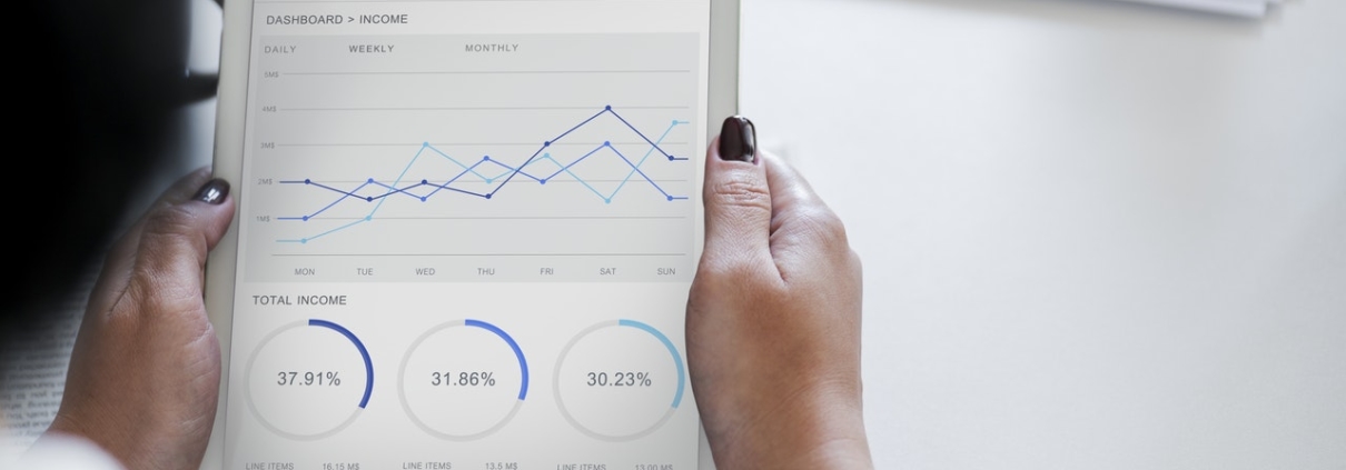 publish income report